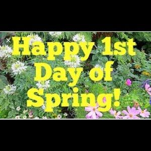 Ladies get your spring heels and sandals here